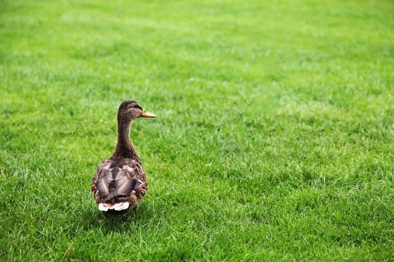 How to save money and be environmentally friendly