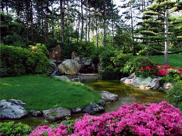 Beautiful garden with pond waterfall